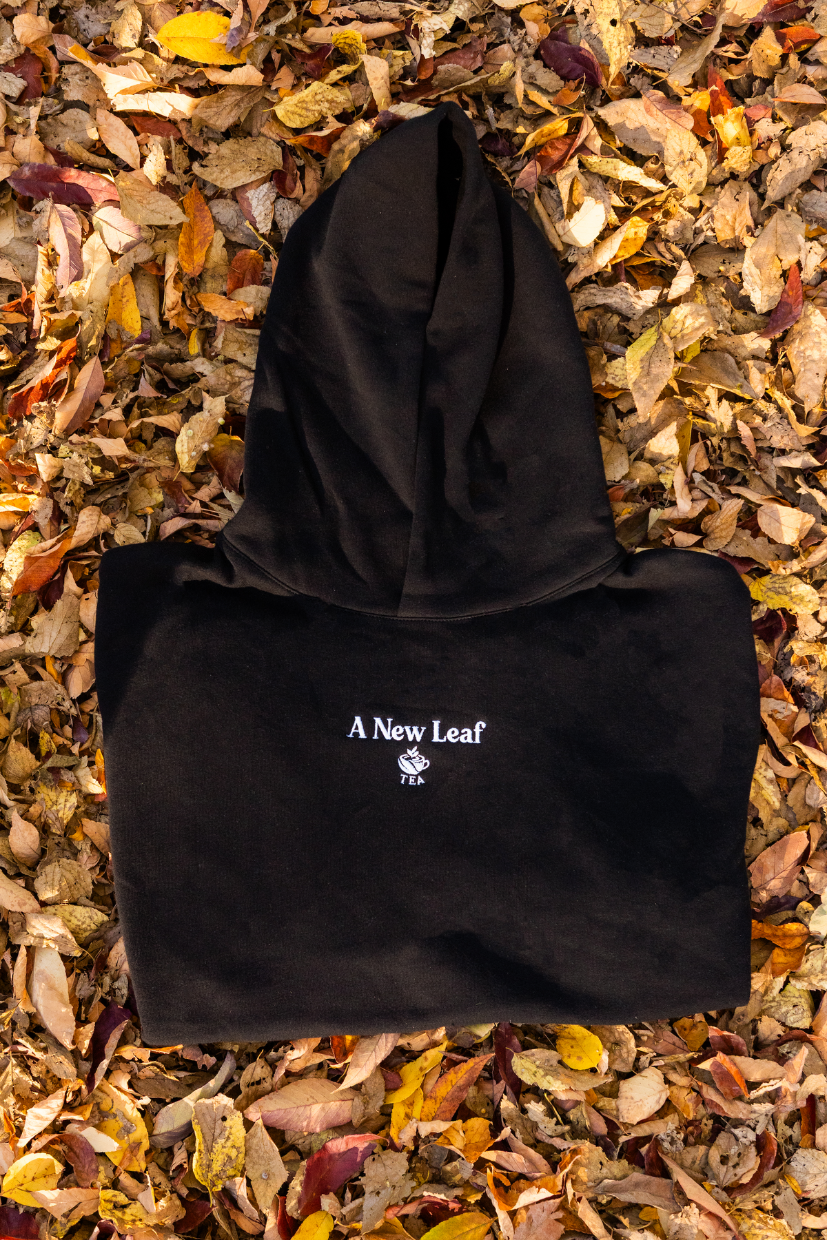 A black hooded sweatshirt laid flat on a bed of dry autumn leaves, with white embroidered text reading 'A New Leaf' and a small leaf logo on the chest.